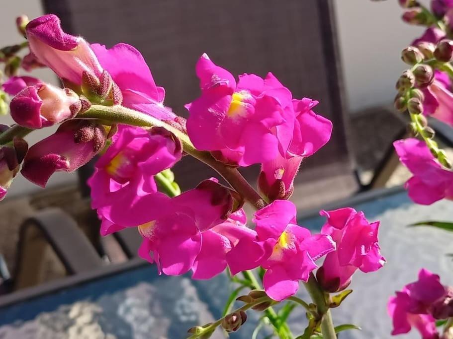 Smaragdas Paradise Hydra  Zewnętrze zdjęcie